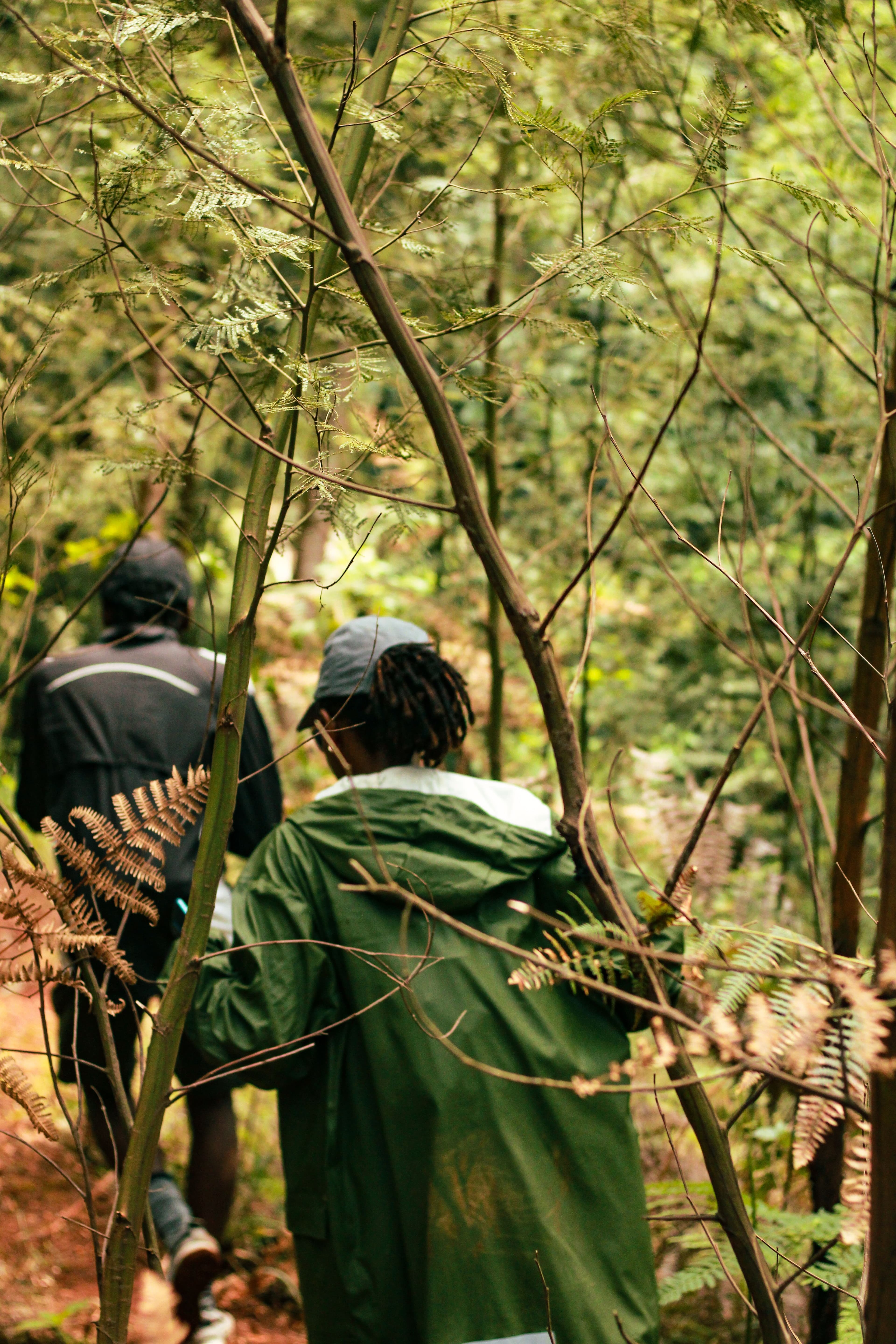 Hikes
